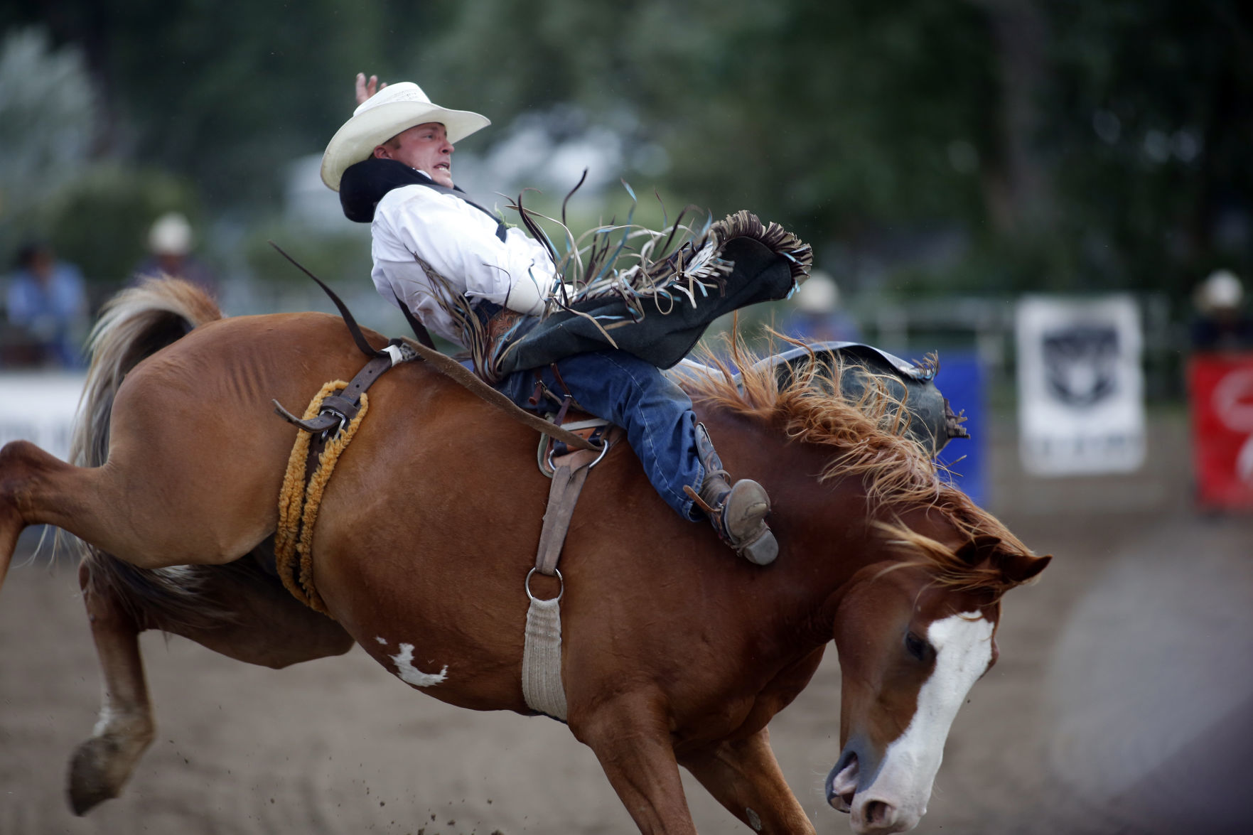 Central Wyoming Rodeo